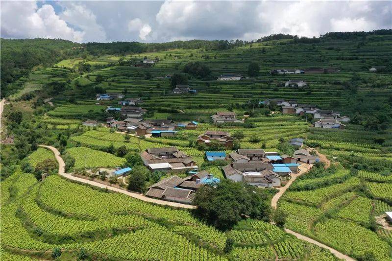 尖山村,地处会理县太平镇高寒山区,平均海拔2100米.