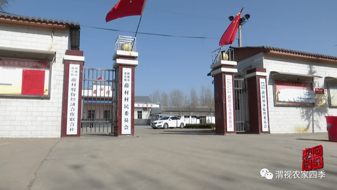韩城市西庄镇发展特色产业拓宽增收门路