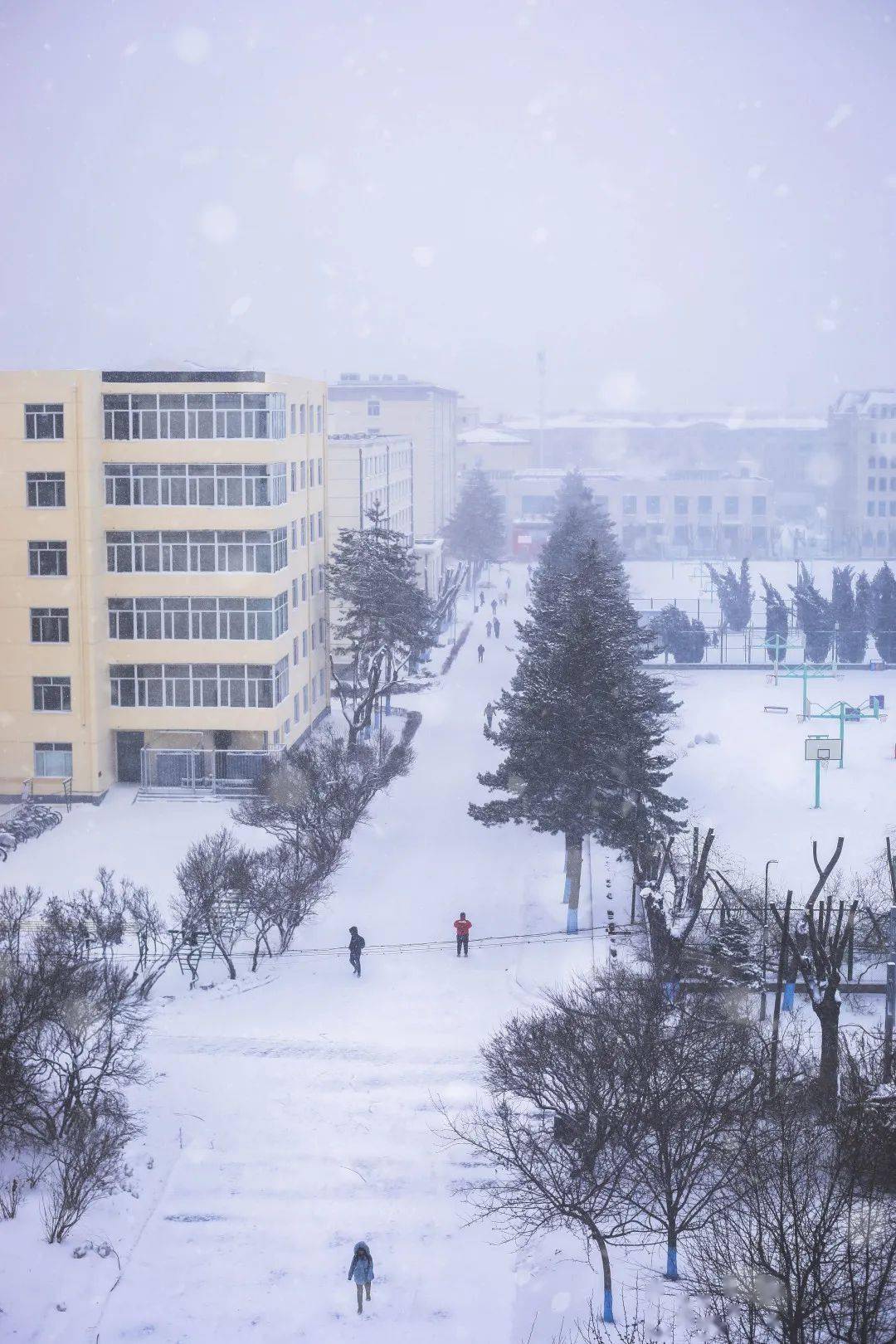 哈尔滨工程大学雪景图片
