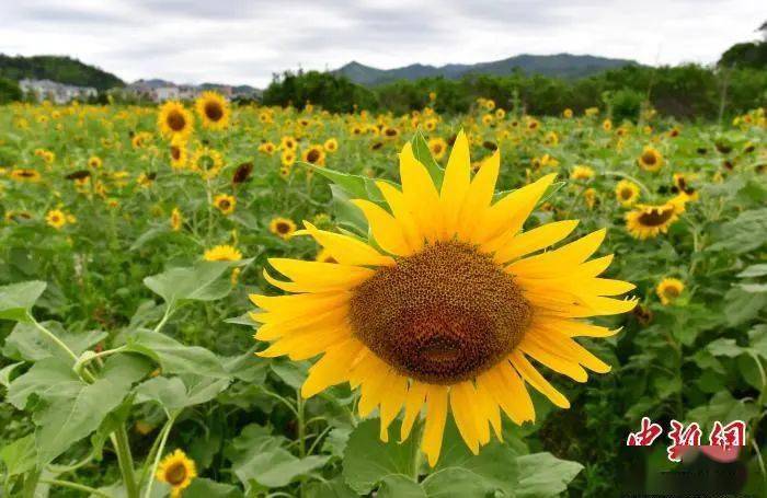 毕业|人这一生，改变命运的三次机会