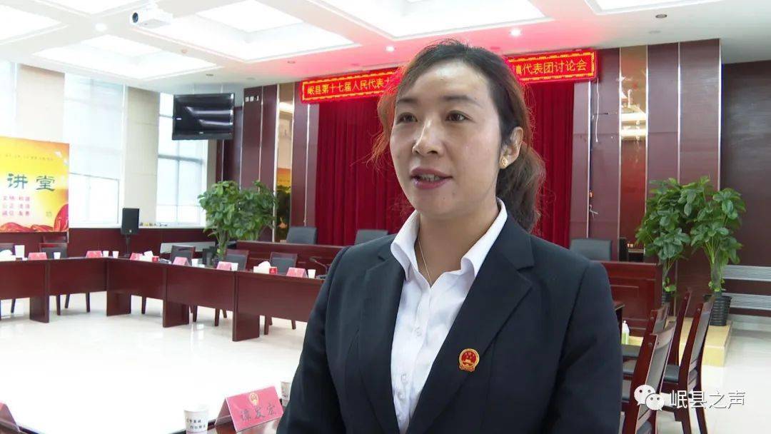 聚焦两会 | 李讲科参加岷县第十七届人大一次会议蒲麻镇,西江镇代表团