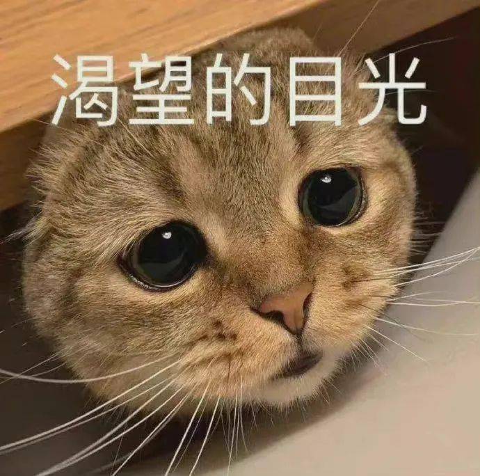 002383e032904c29b5b378d0e674ed03.jpeg
