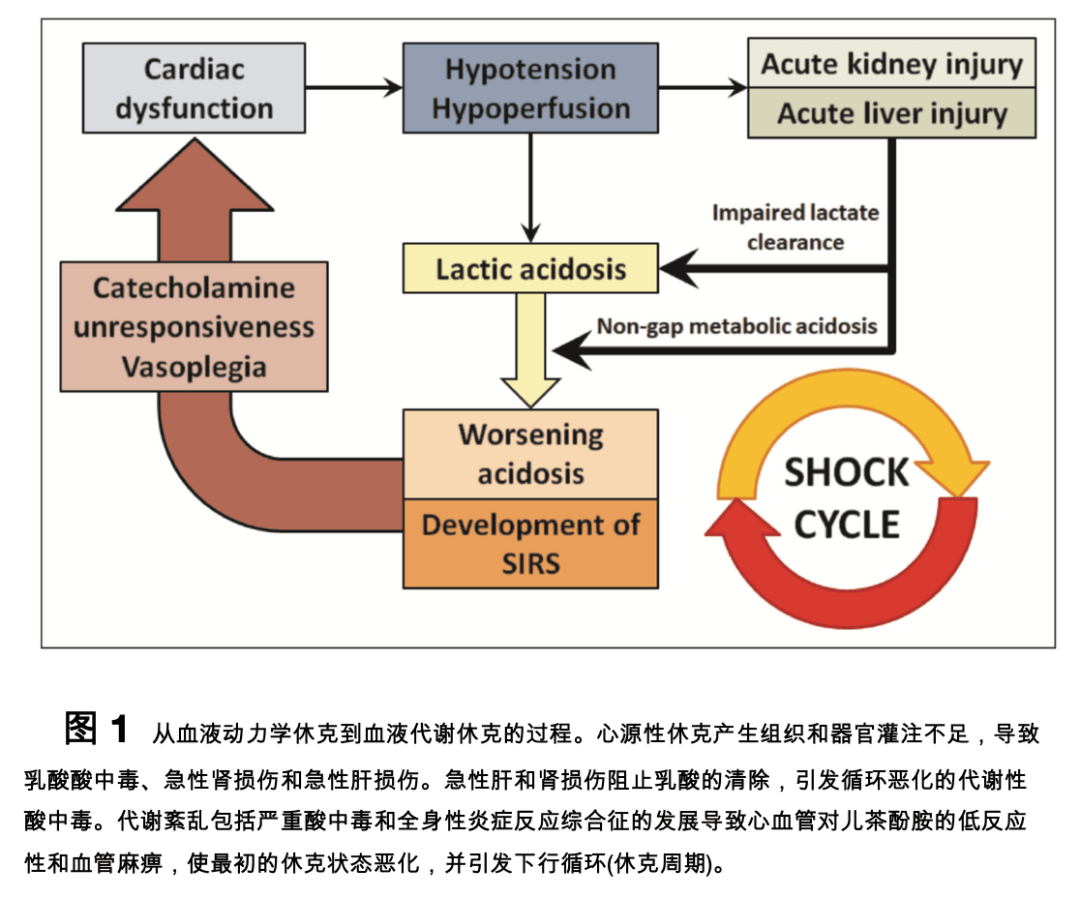 心源性休克第120分钟的管理从复苏到诊断
