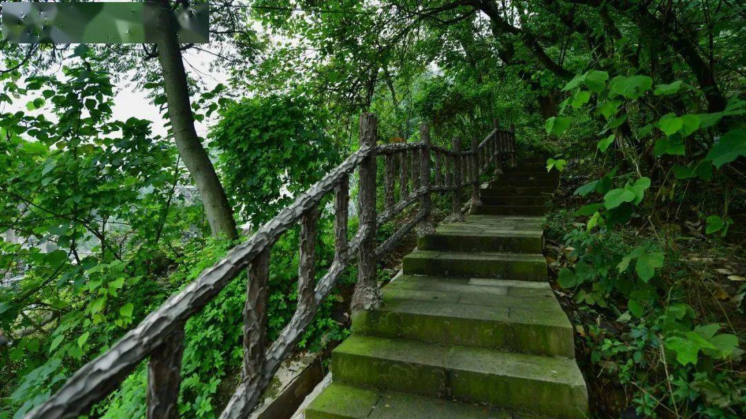 报名丨免费报名还有丰厚福利重庆南山庆乡亭步道喊你来登山了