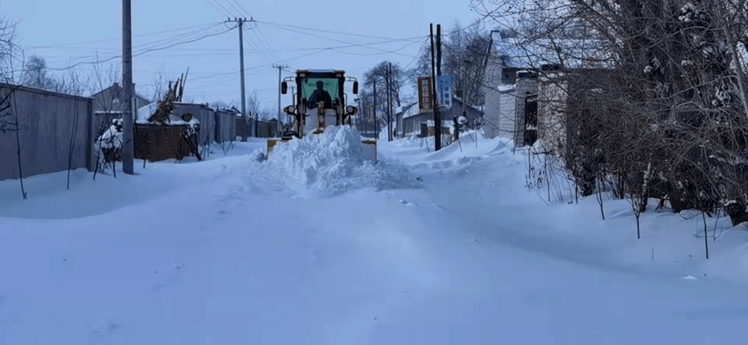 关注党员先锋行清雪暖人心桦川县梨丰乡黎明村开展清雪行动