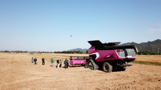 稻花香里说丰年，智慧农业新路径