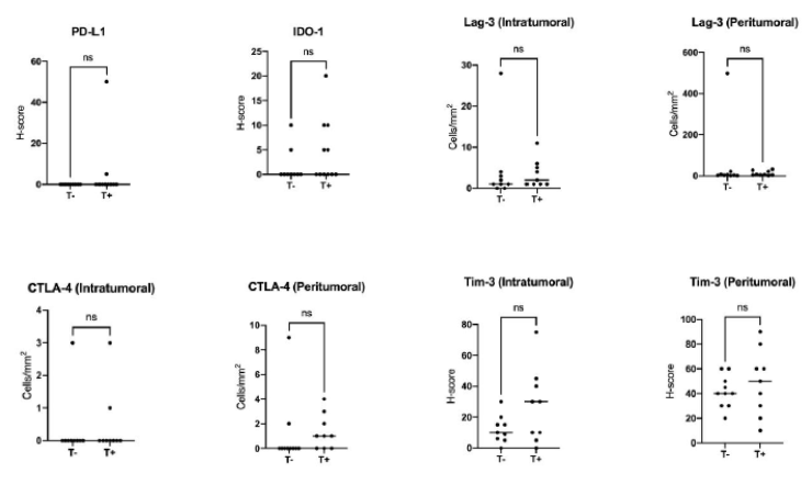 Treg|免疫治疗前用TACE铺路，或是肝癌治疗的全新妙招！