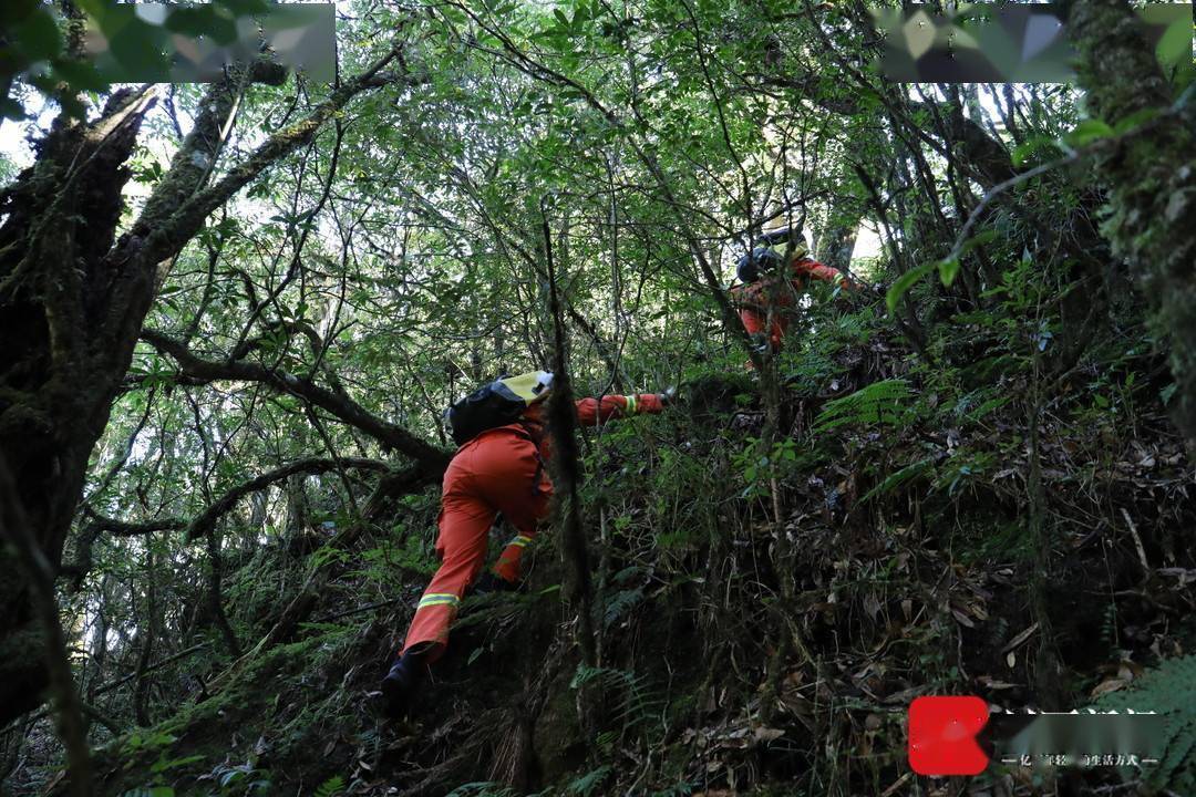 云南哀牢山死人之谜图片