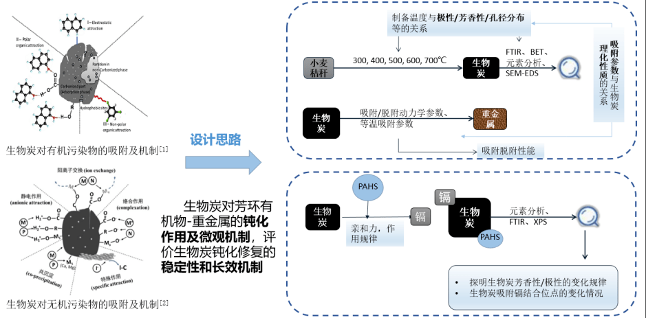 金怡在生物炭對土壤重金屬,多環芳烴(pahs)鈍化修復機制領域所做的