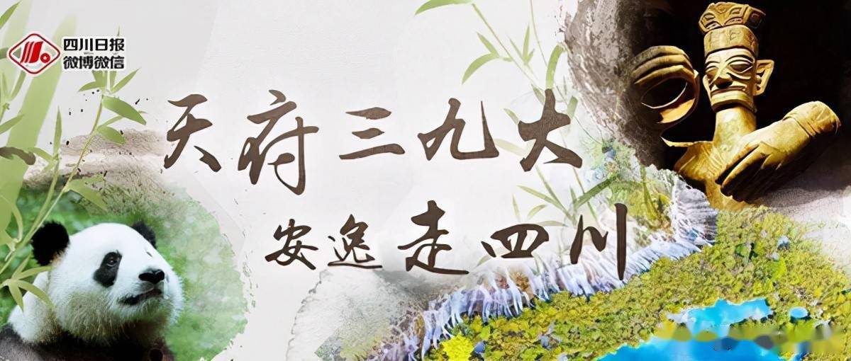 董字拼音怎么写