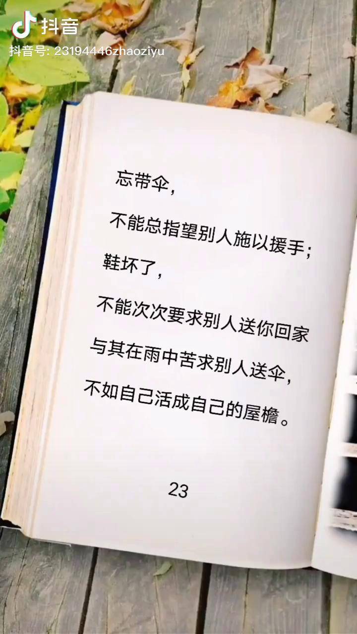 不要依赖别人要靠自己情感情感语录生命感悟感悟人生