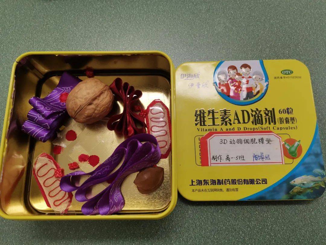 成都三十七中开展“制作真核细胞三维结构模型”实践活动_搜狐网, image size:1080x810