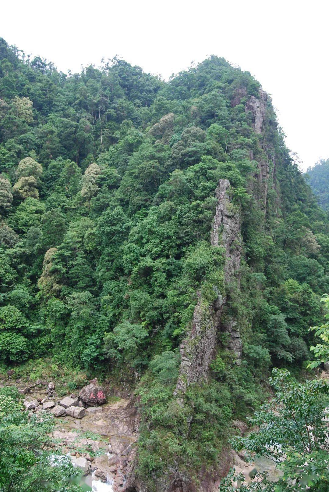 天龙饮水(李学森 摄)第一峰冰挂(董常法 摄)风景区内的天泉度假村温泉