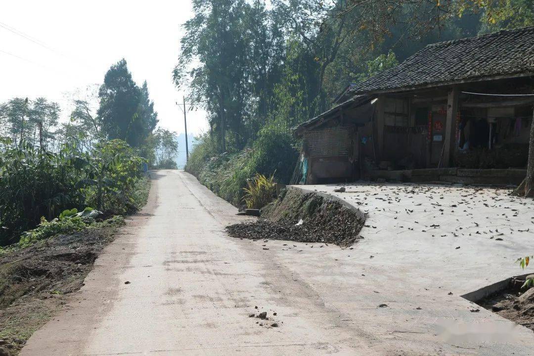 安居这里的农村道路焕然一新