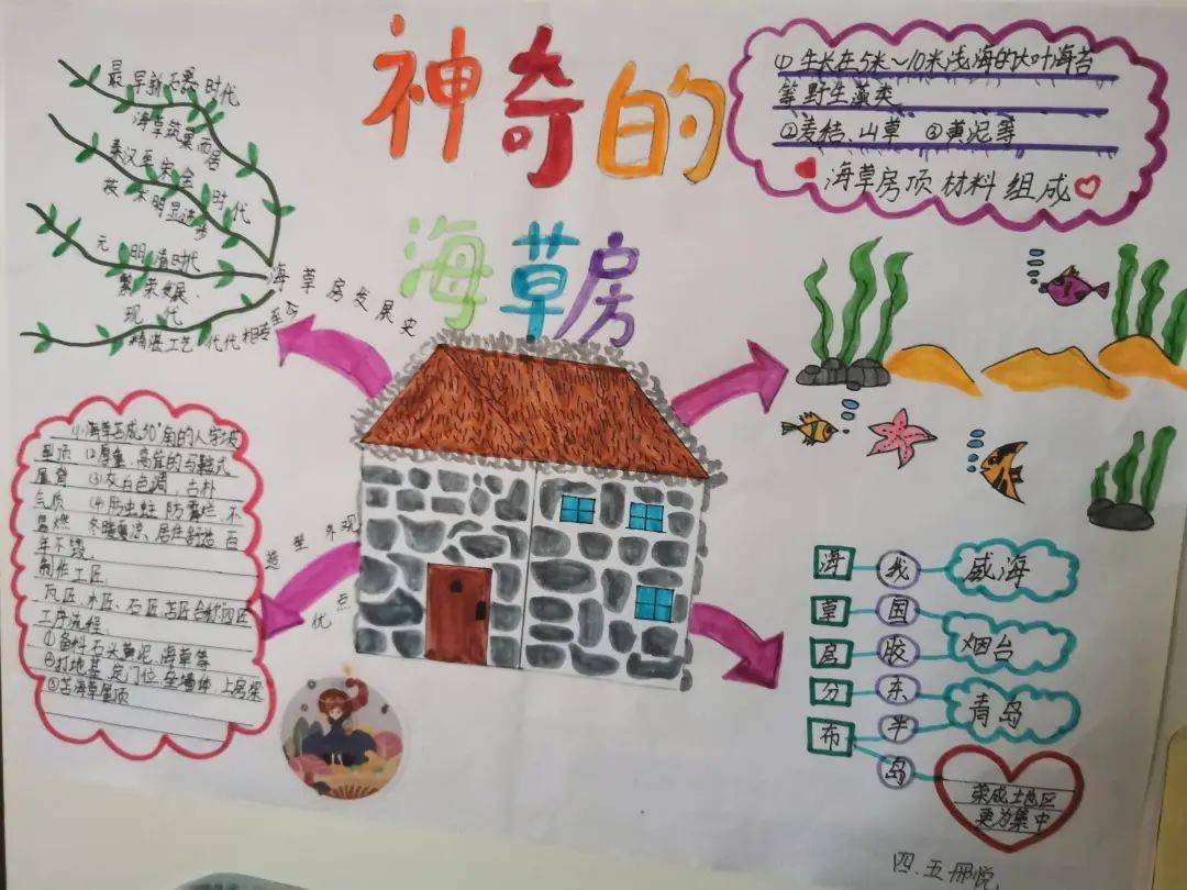 上房揭草项目化学习之海草房的秘密