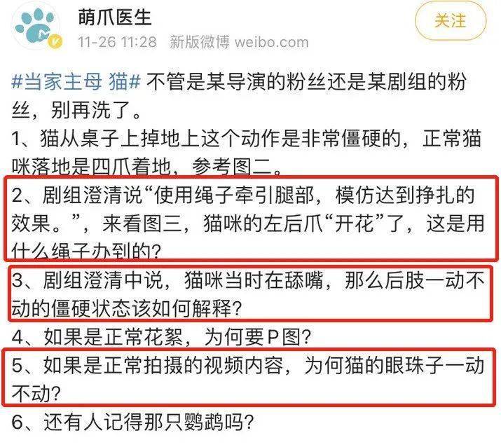 鹦鹉|圈内到底还有没有底线?
