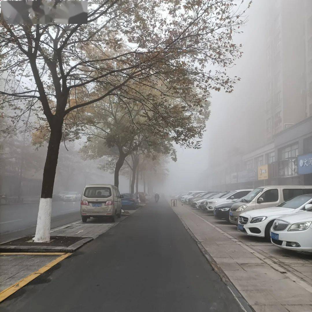 今晨大雾锁城,嚯,来看海安高空中的美景!_天气_计划_湿度