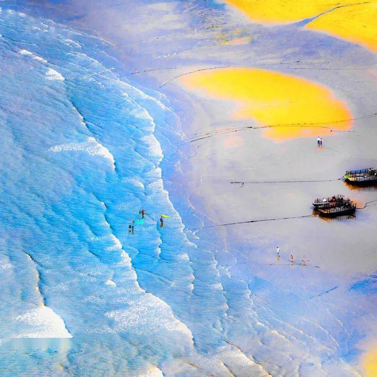 霞浦知青摄影组作品展_罗寿如_滩涂_叶定健