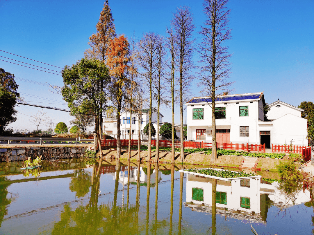 美丽乡村"变形记",正在这里精彩上演……_村庄_菜园_建设