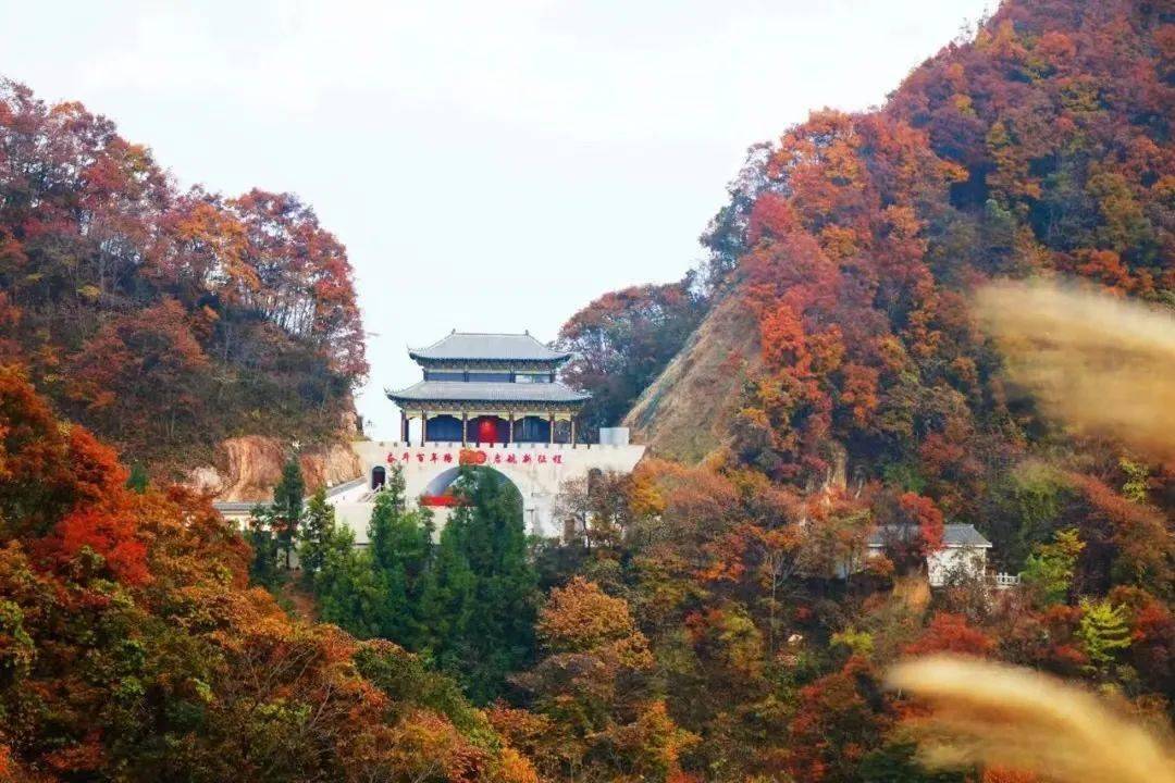 保康县马桥镇尧治河村 为何能成为全国乡村治理示范村