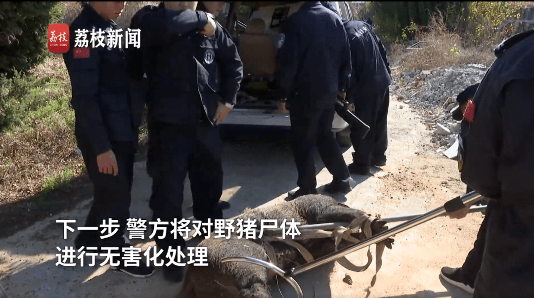 民警直接开枪击毙!