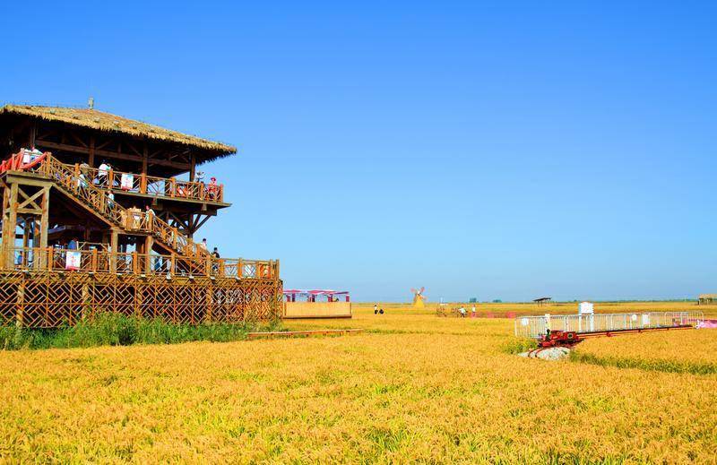 风景|去一个叫：辽宁盘锦的地方