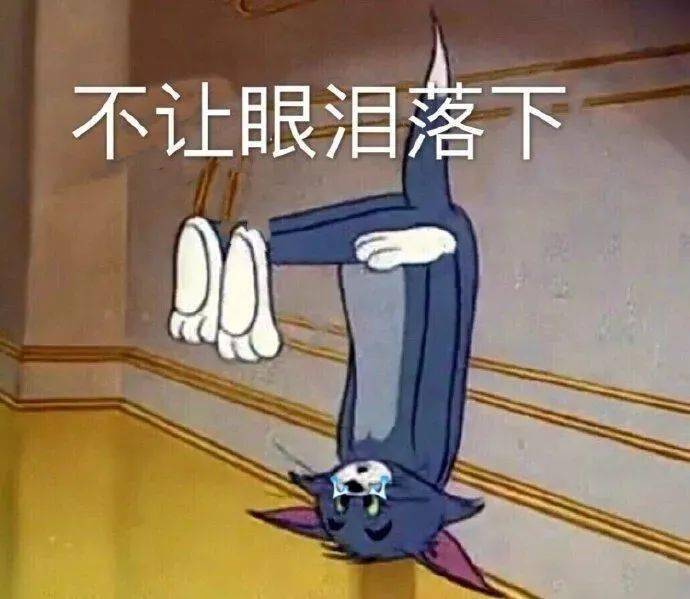399531488edd4e17a702d6008a11dfc8.jpeg