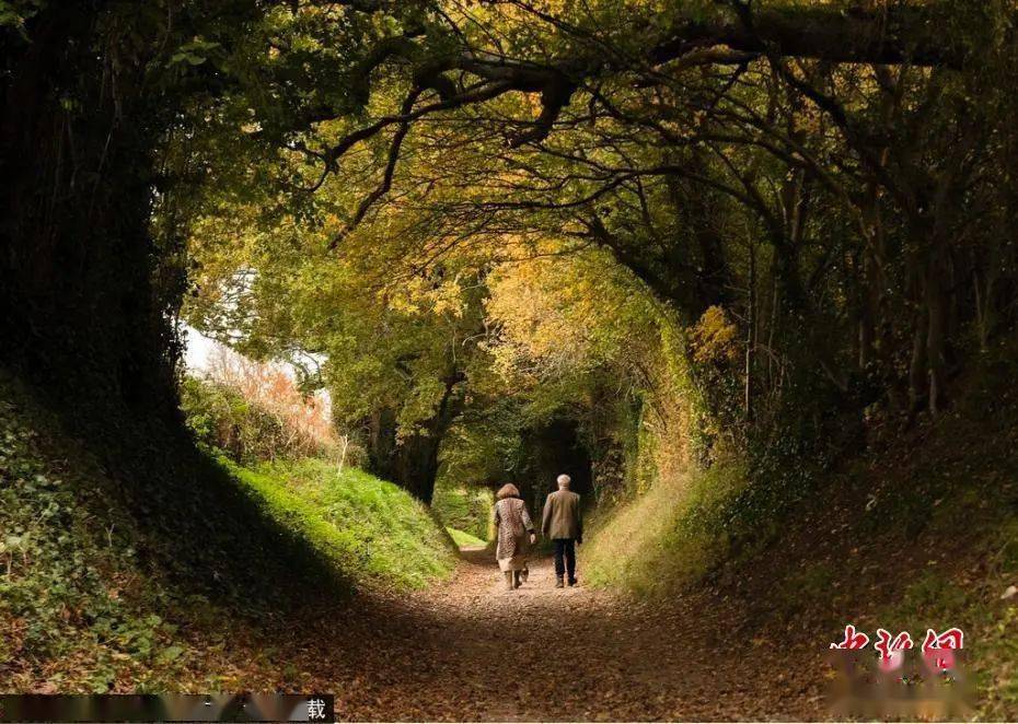 问题|成年人的情商，都在细节里丨夜读