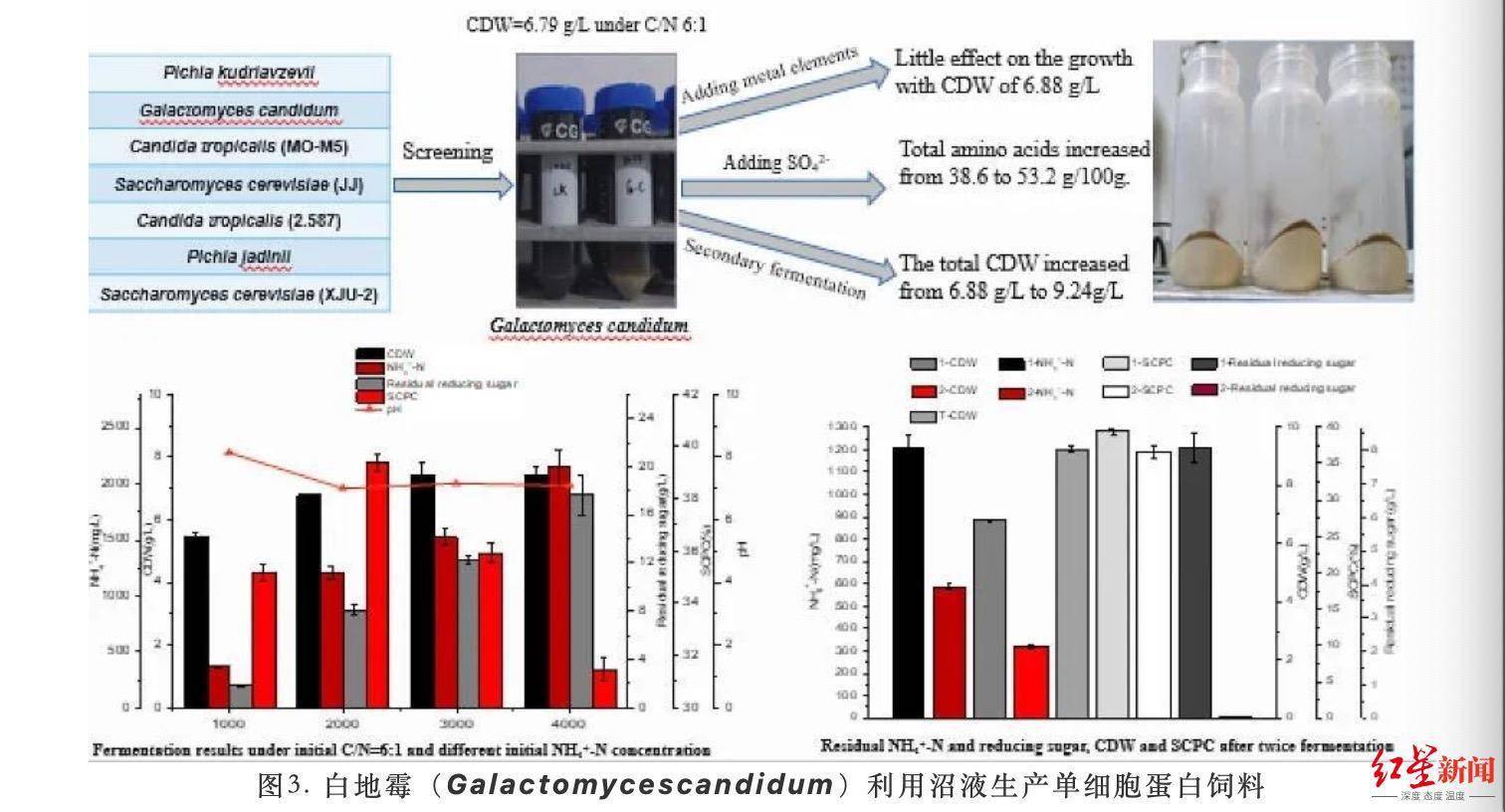冲刺四季度｜成都这个研究所迎来新进展！无需日照和大量土地的单细胞蛋白饲料来了