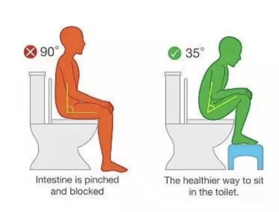 肠道|不会还有人相信宿便这个东西吧？