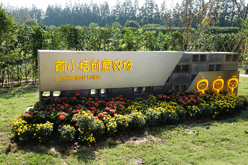 前小桔创意农场以柑橘为主题的创意体验农场,让孩子们可以体验蔬菜