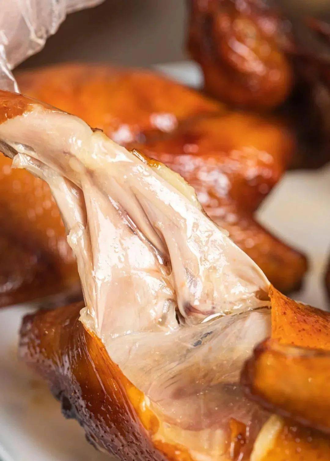 重磅南粤光明乳鸽终于开到沙井旗舰店盛大开业狂送乳鸽