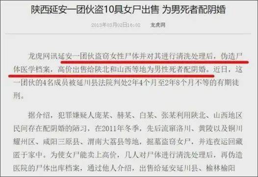 事情|女主播骨灰被偷盗事件：生于湖南，死于网暴，毁于阴婚……