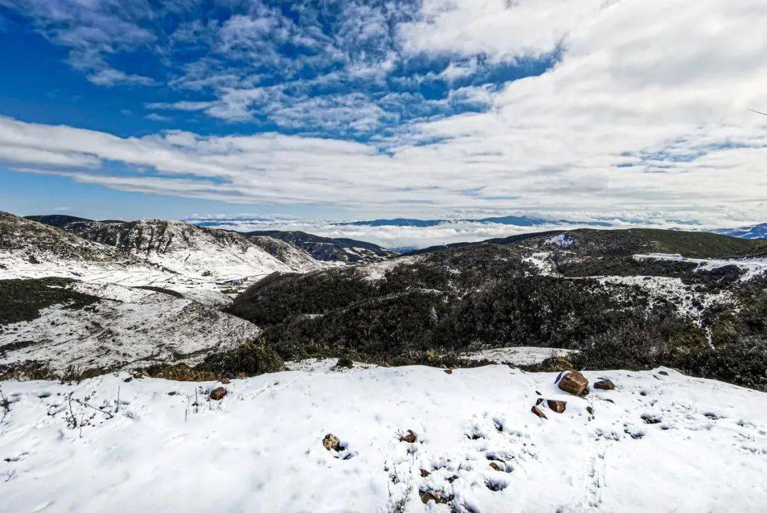 瑞雪倾城!来看2021年初冬第一场雪景