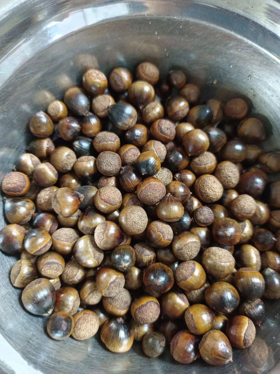 北流有人上山被刺到流血,结果发现.