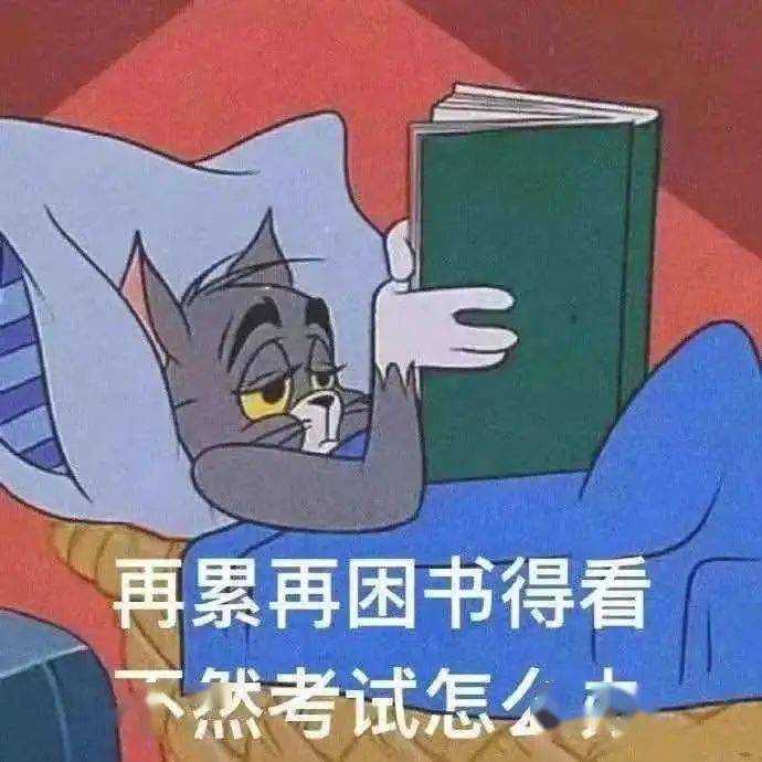 dafca7da5c2149c1985a048034f5b9fa.jpeg