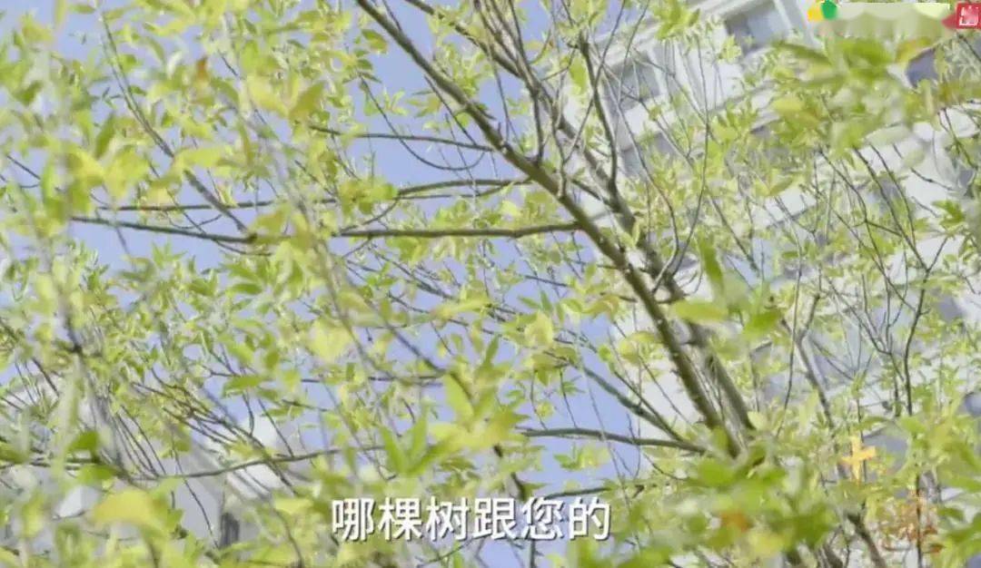 钱理群|能让许知远沉默的人，真敢说