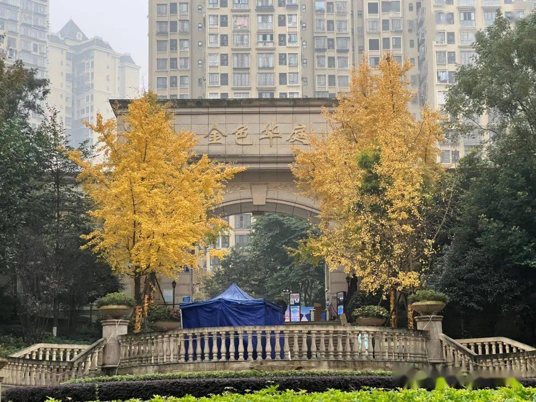 整治洋地名泸州又有多个小区更名新名引热议这事儿你怎么看