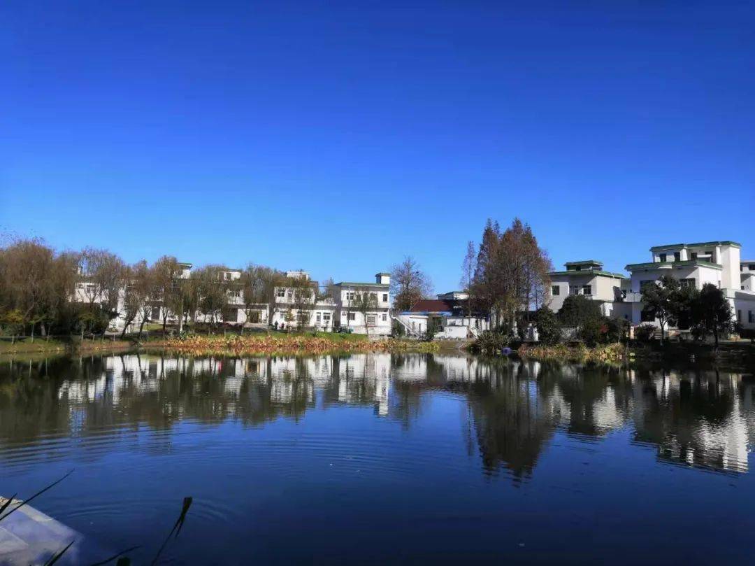 上水村:环境治理,水乡美景入画来