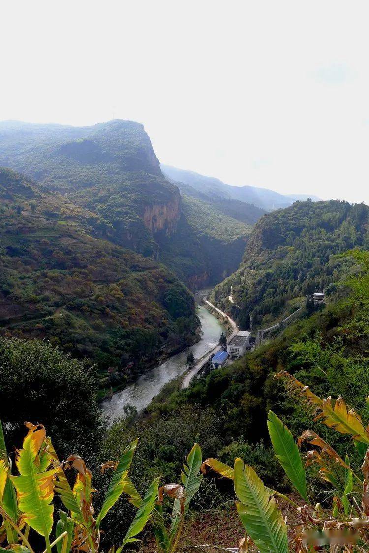 富民大山坡连坡,巴掌岩上风车转_螳螂_海子_金铜