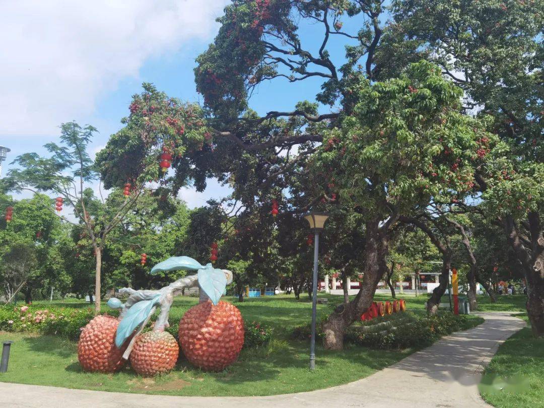 松柏朗荔枝公园,位于大朗镇富通路松柏朗村路段,占位面积约9000平方米