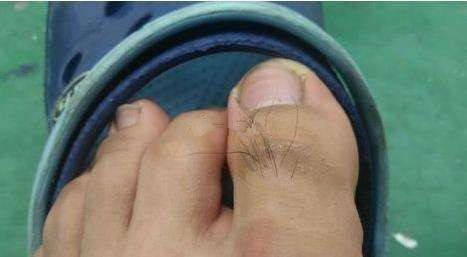 俗语说有福之人毛脚脚无福之人光脚脚或男人有福两腿毛