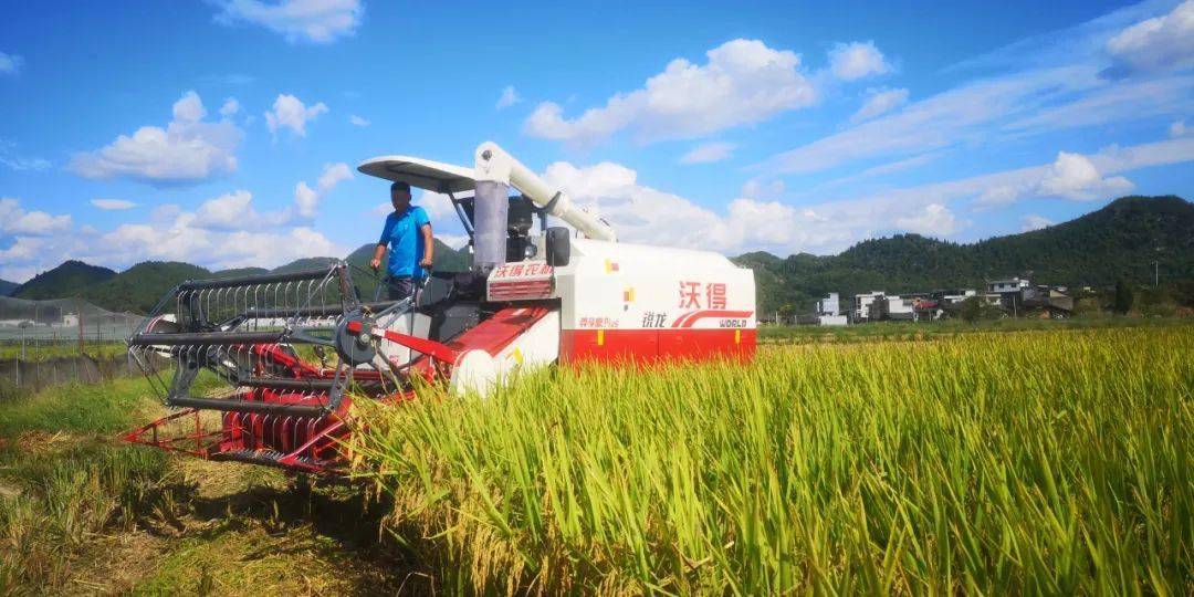 圍繞四新主攻四化思南立足山地實際打造特色產業助推農業現代化高質量