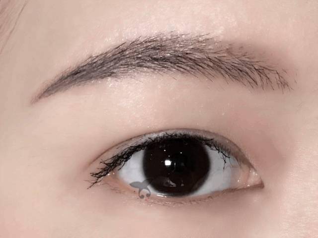 bb7e83da347a4b5e892b268c43202725.jpeg