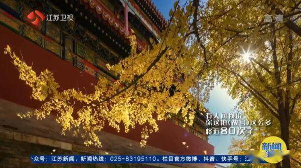 民警拍下30000张故宫绝美大片！单霁翔都被他打动