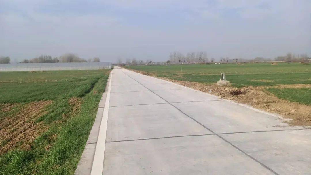 涡阳_管理_路建设
