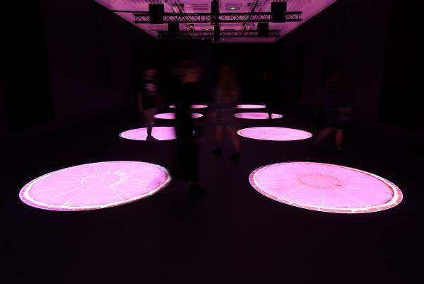 奖项|英国特纳奖何去何从：走向社会，还是回归“初心”