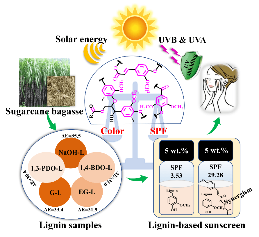廣西大學李凱課題組mme木質素的紫外屏蔽性能及顏色