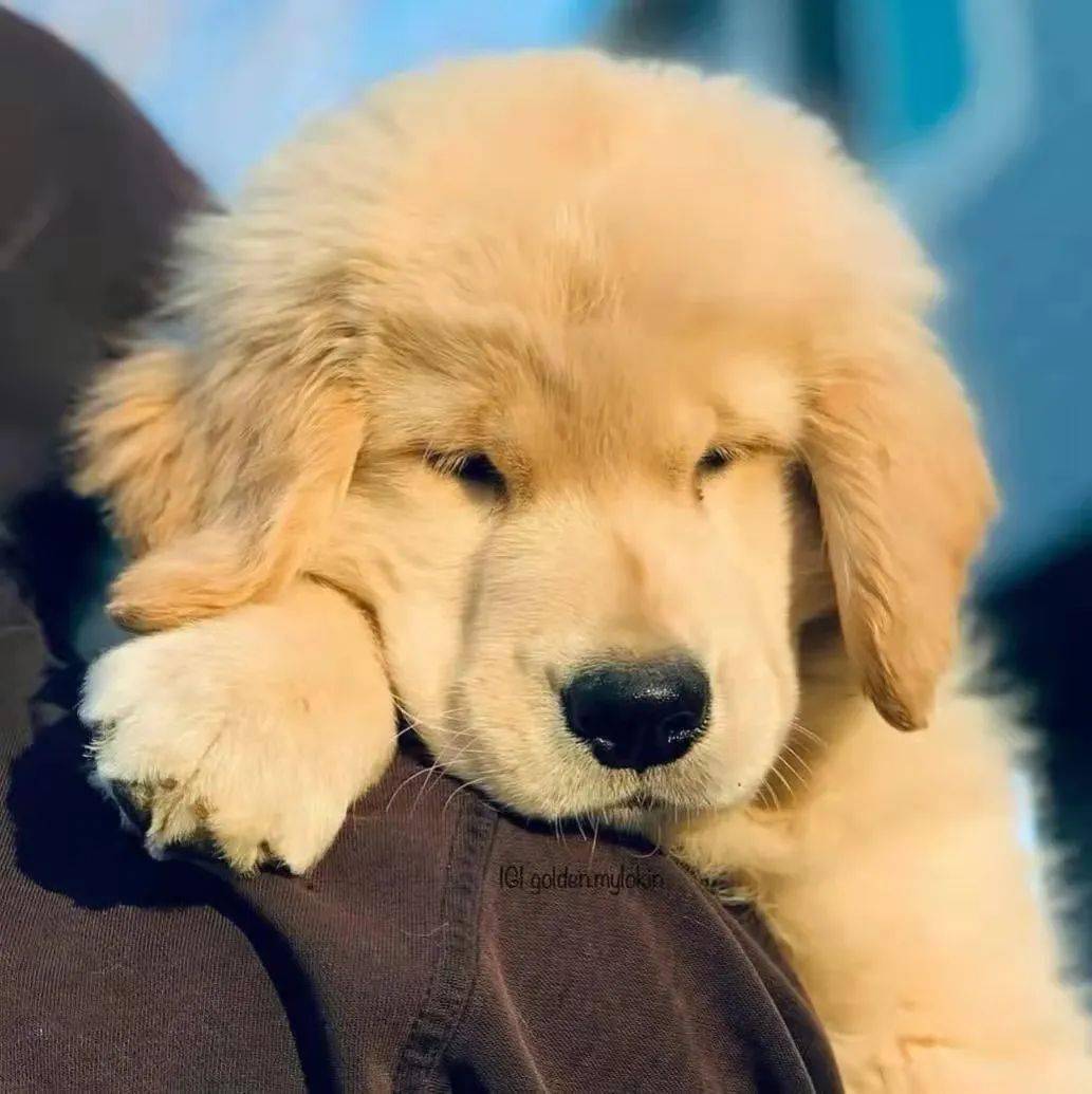 头像6767特别失望委屈的文案