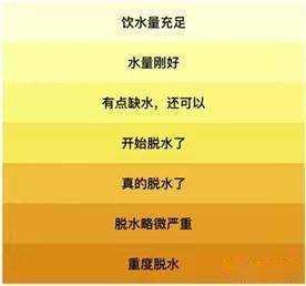 杯水|“一天八杯水”，真的适合每个人吗？